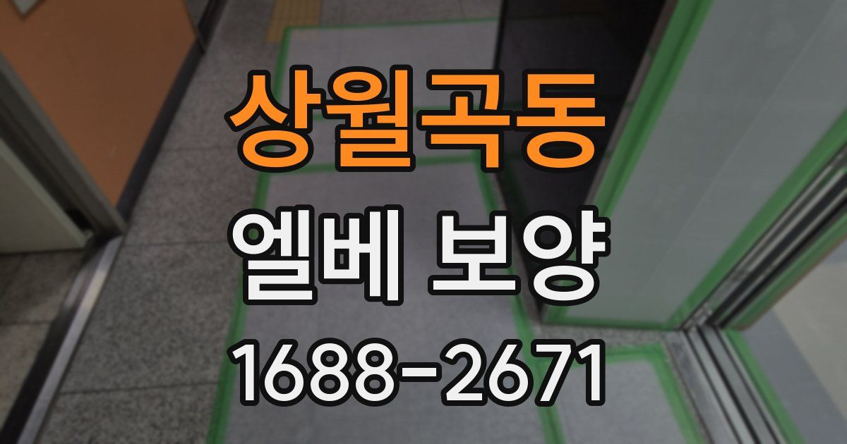 상월곡동 엘베 보양