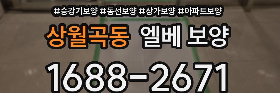 상월곡동 엘베 보양