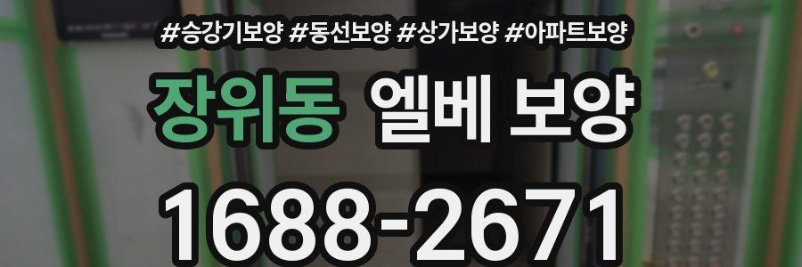 장위동 엘베 보양