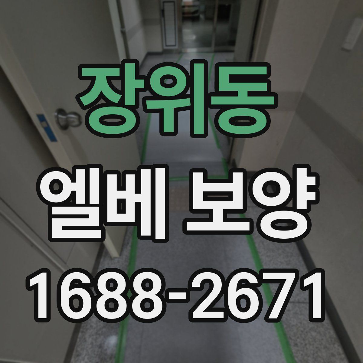 장위동 엘베 보양