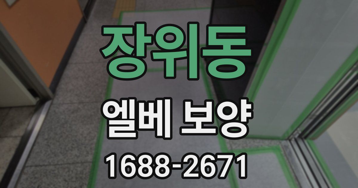 장위동 엘베 보양