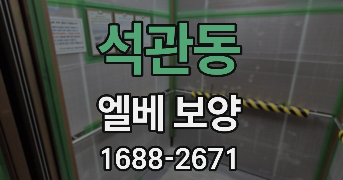 석관동 엘베 보양