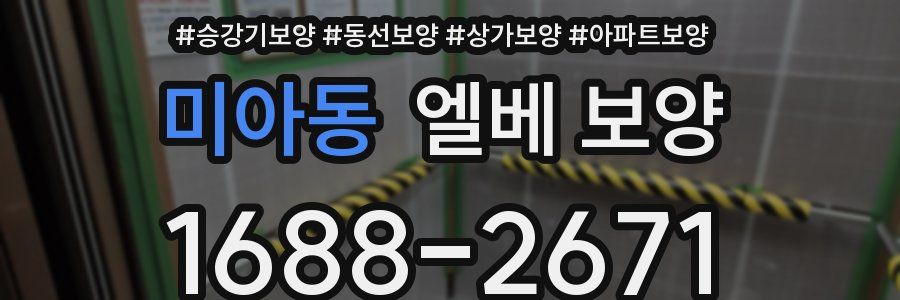 미아동 엘베 보양
