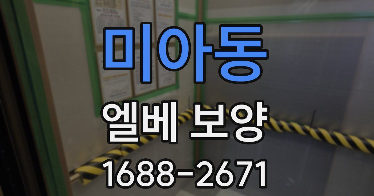 미아동 엘베 보양
