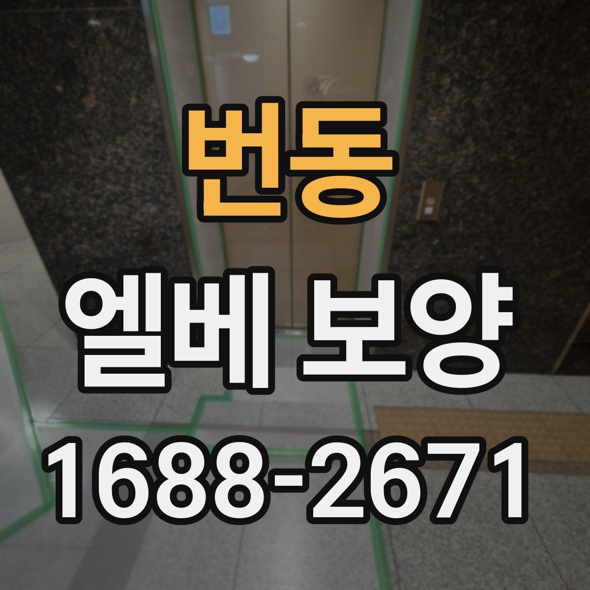 번동 엘베 보양 보양 사진으로 확인해 두는 이유