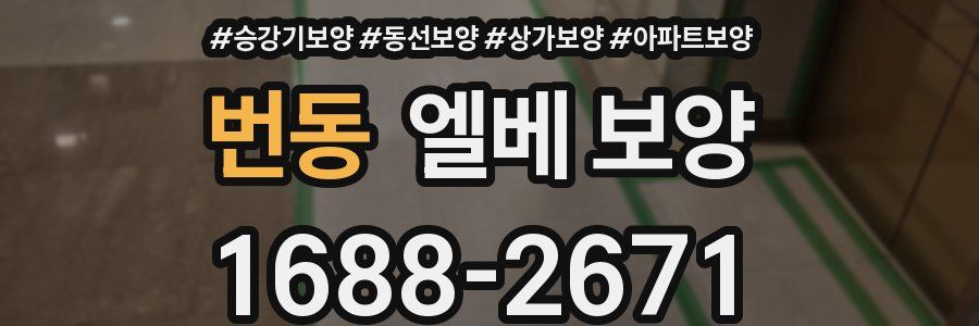 번동 엘베 보양