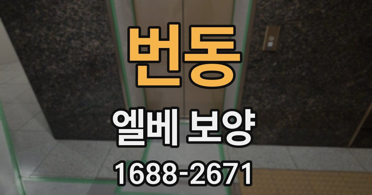 번동 엘베 보양