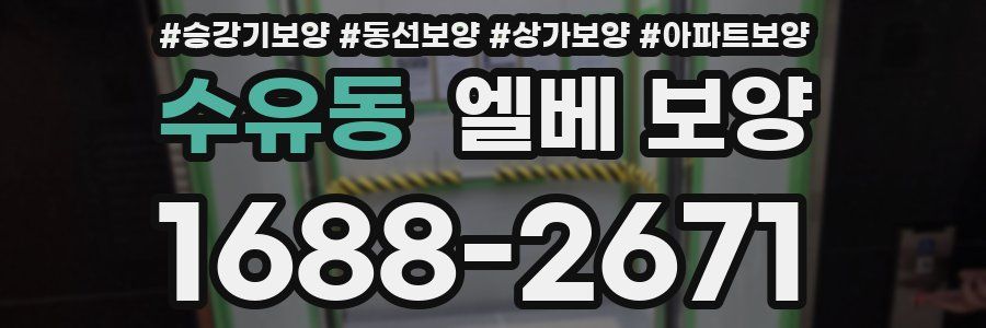 수유동 엘베 보양