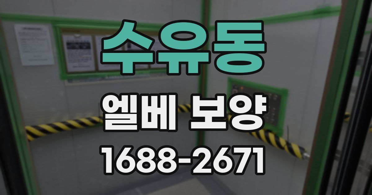 수유동 엘베 보양