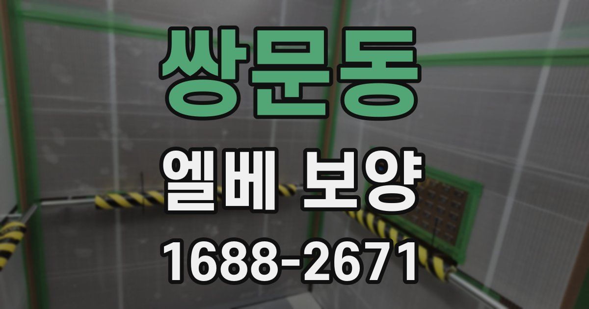 쌍문동 엘베 보양
