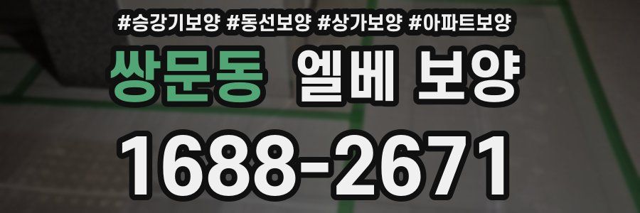 쌍문동 엘베 보양