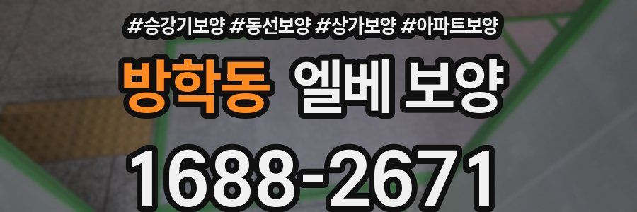 방학동 엘베 보양