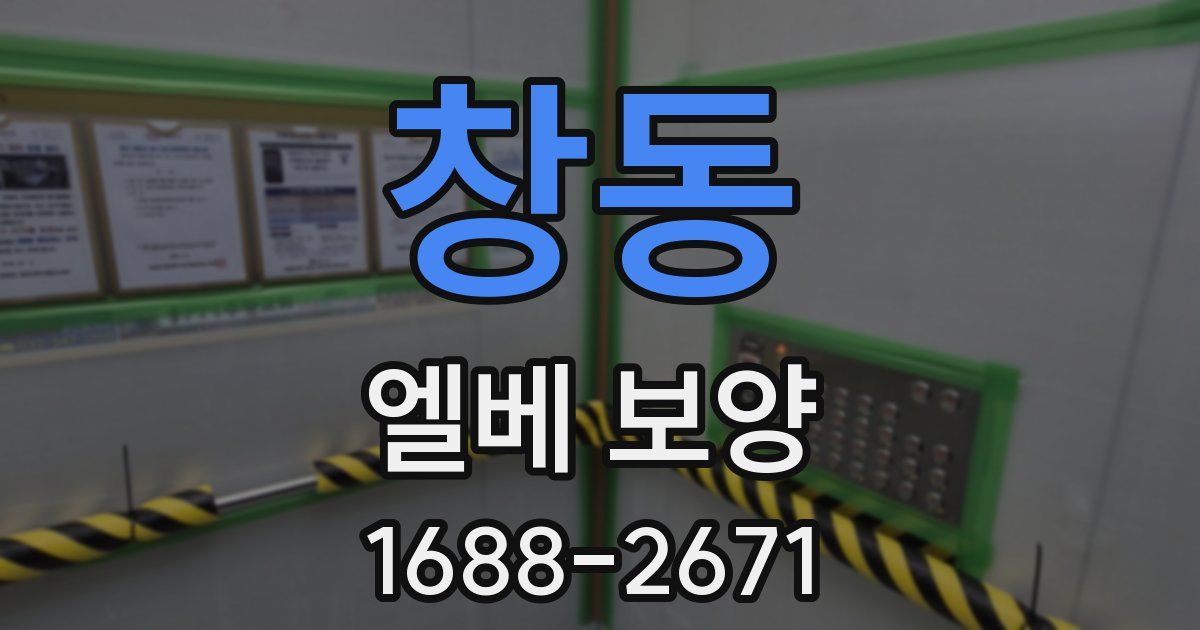 창동 엘베 보양