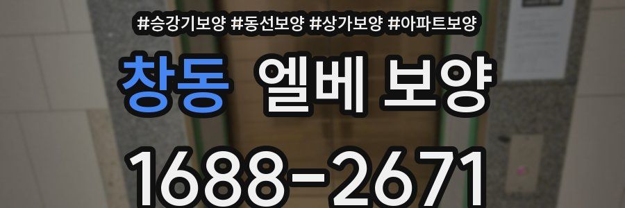 창동 엘베 보양