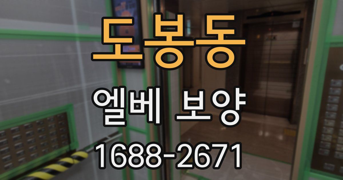 도봉동 엘베 보양