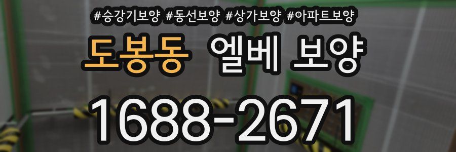 도봉동 엘베 보양