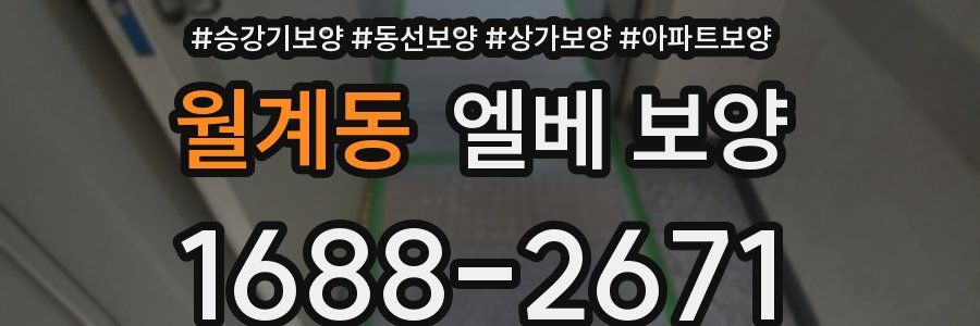 월계동 엘베 보양