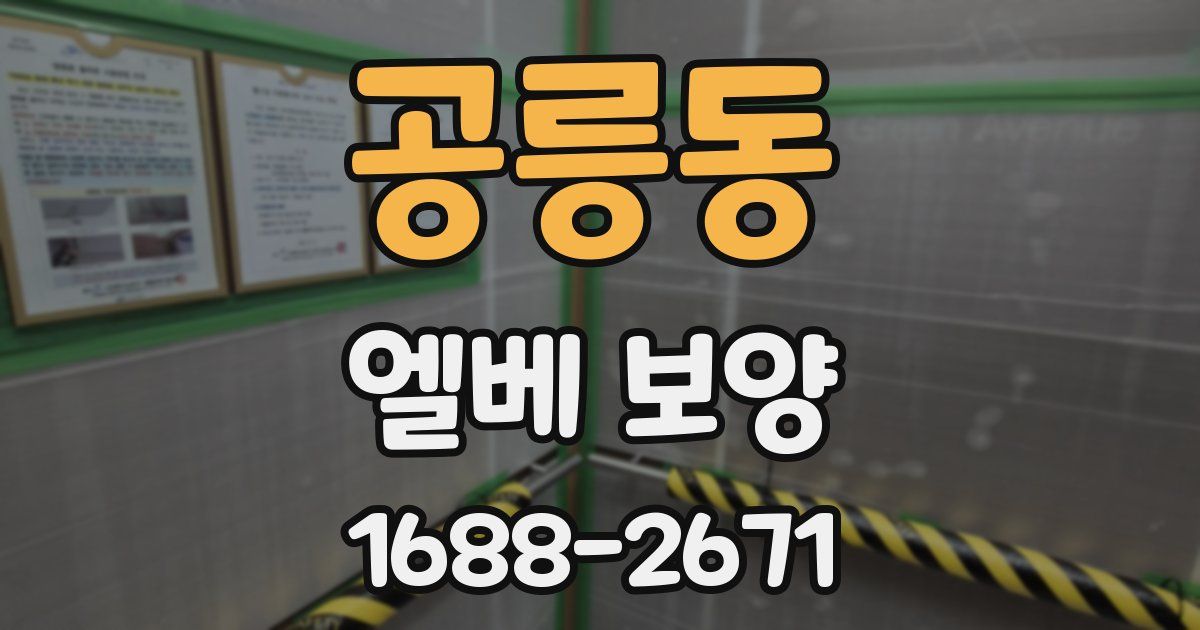 공릉동 엘베 보양