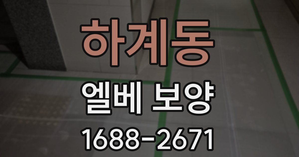 하계동 엘베 보양