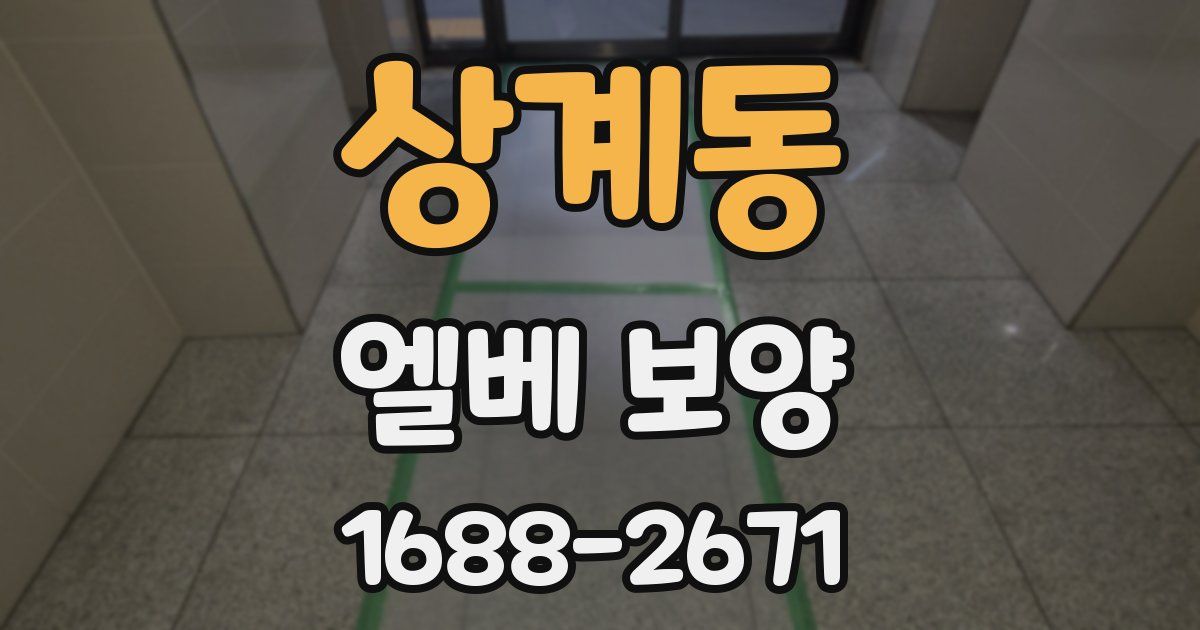 상계동 엘베 보양