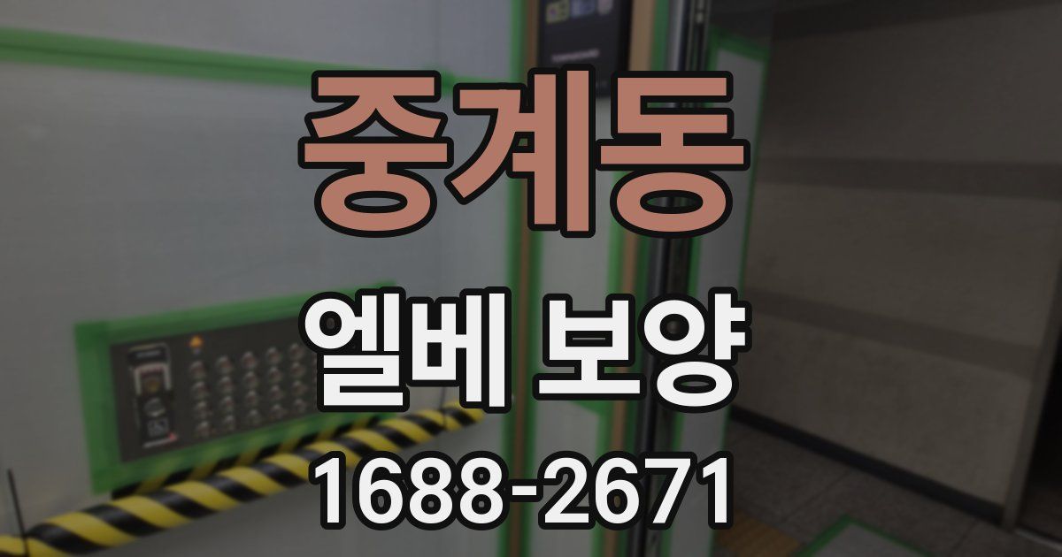 중계동 엘베 보양