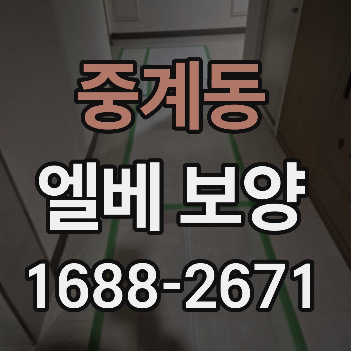 중계동 엘베 보양