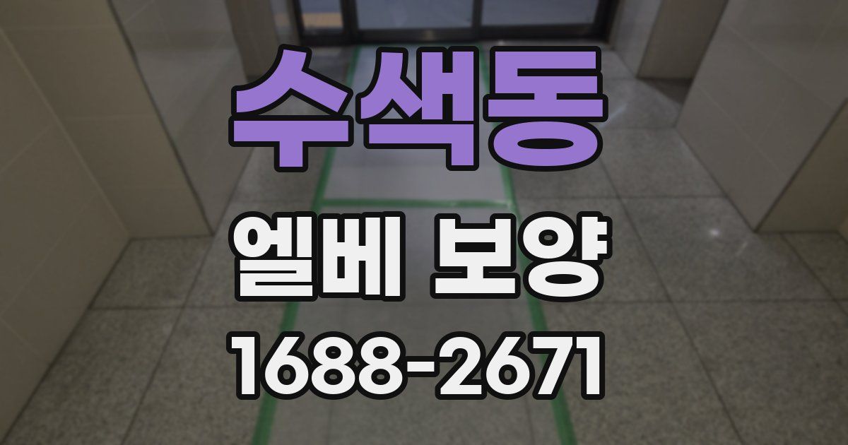 수색동 엘베 보양