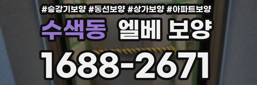 수색동 엘베 보양