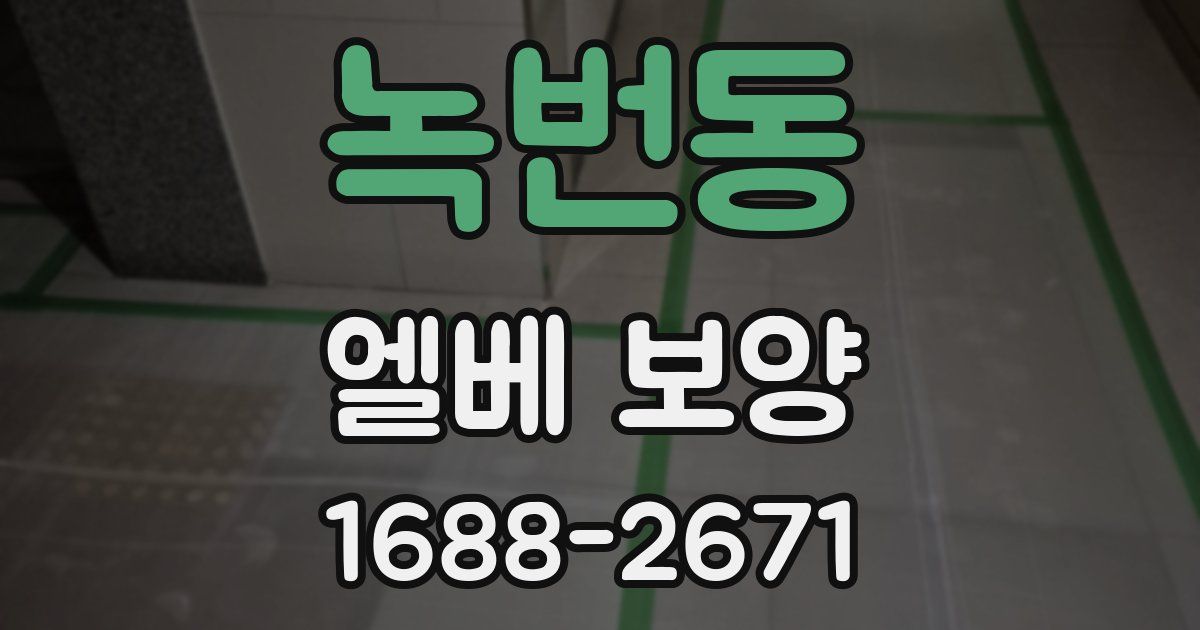 녹번동 엘베 보양