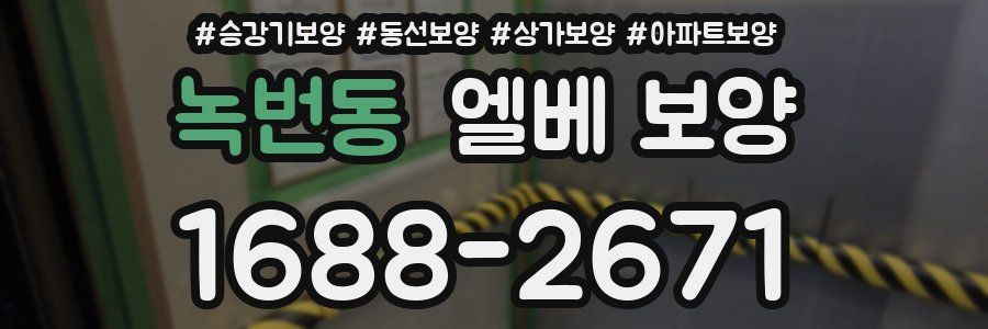 녹번동 엘베 보양