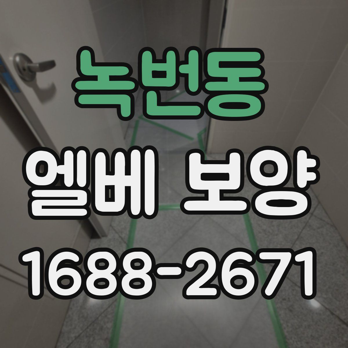 녹번동 엘베 보양
