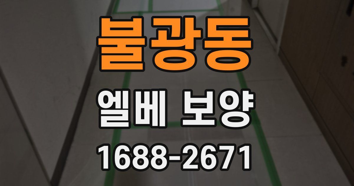 불광동 엘베 보양