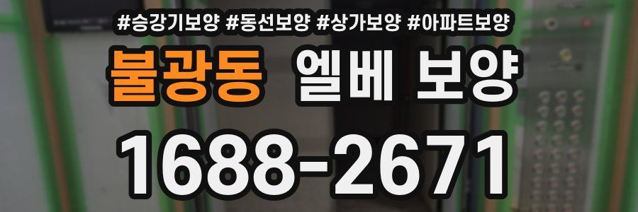 불광동 엘베 보양