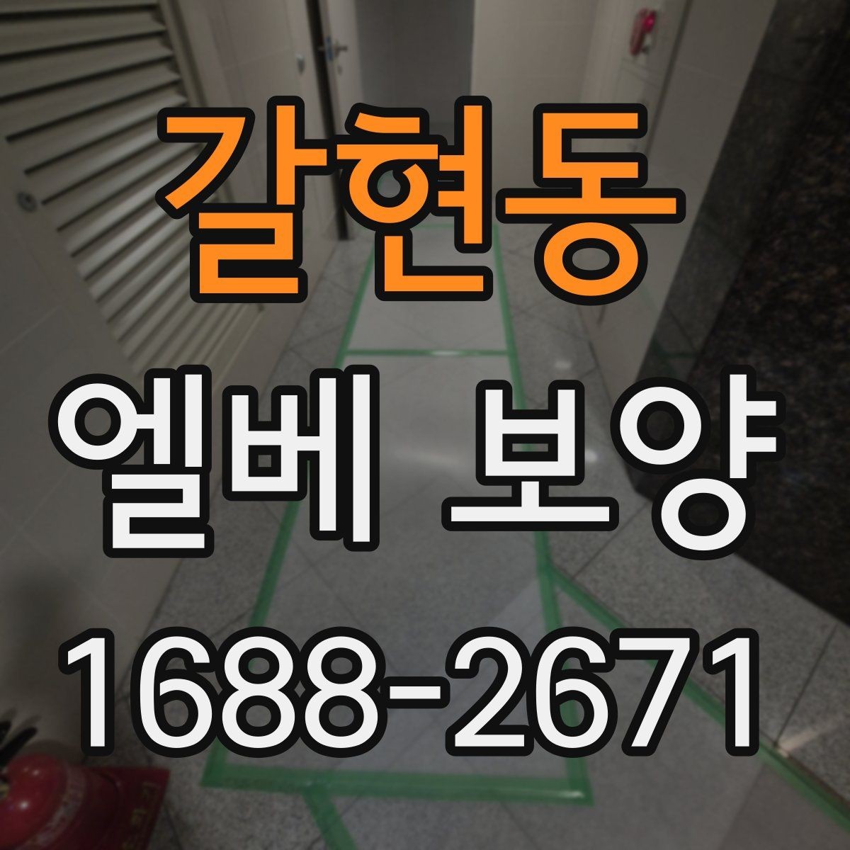 갈현동 엘베 보양 현장마다 달라지는 보호 범위와 순서
