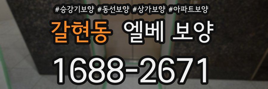 갈현동 엘베 보양