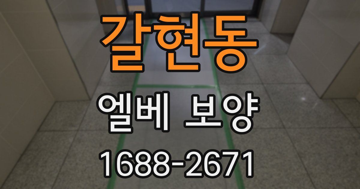갈현동 엘베 보양