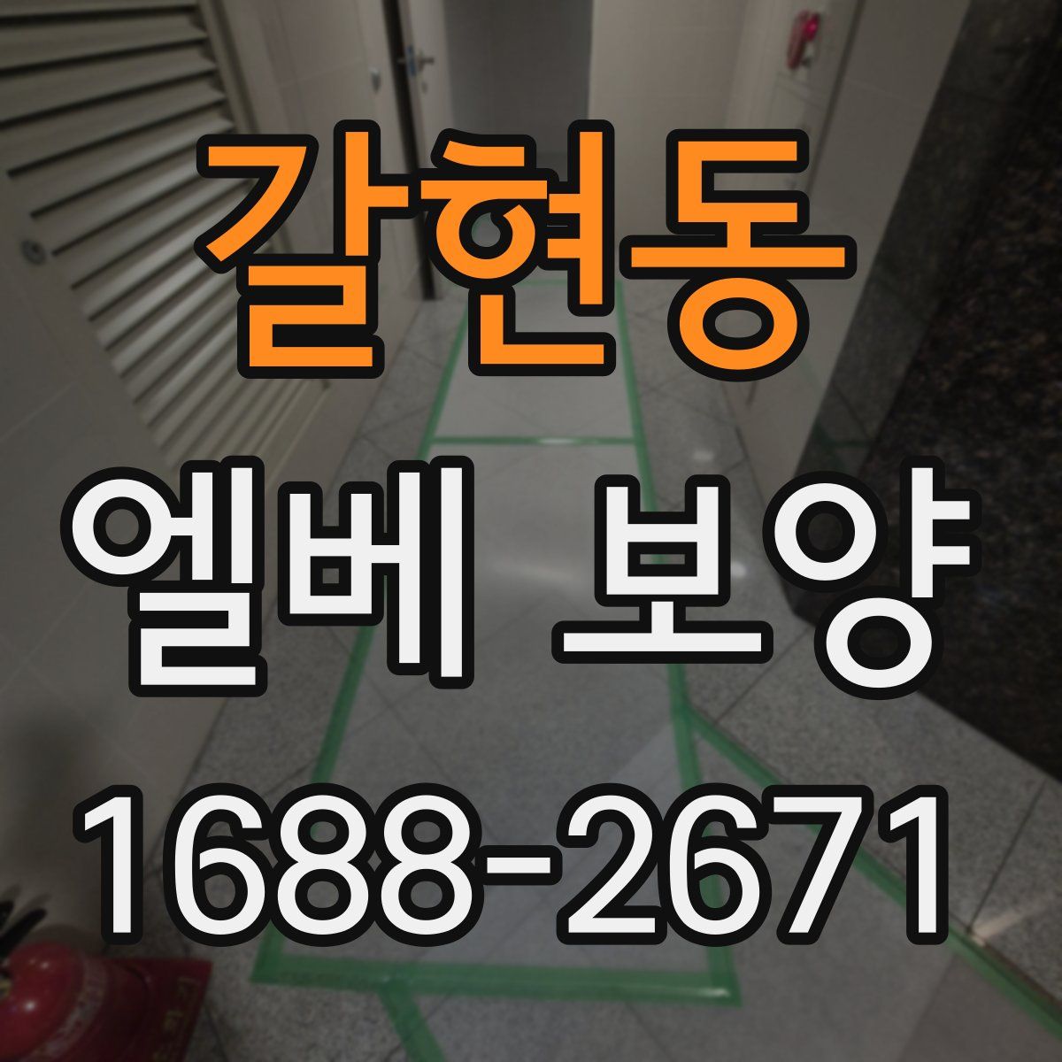 갈현동 엘베 보양