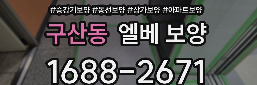 구산동 엘베 보양