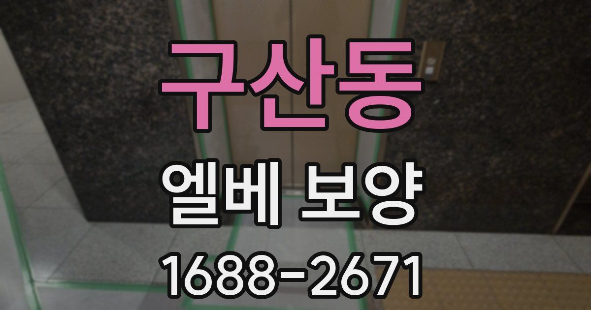 구산동 엘베 보양