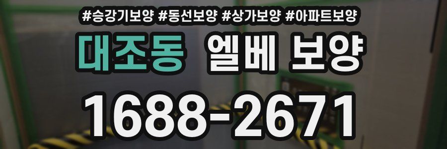 대조동 엘베 보양