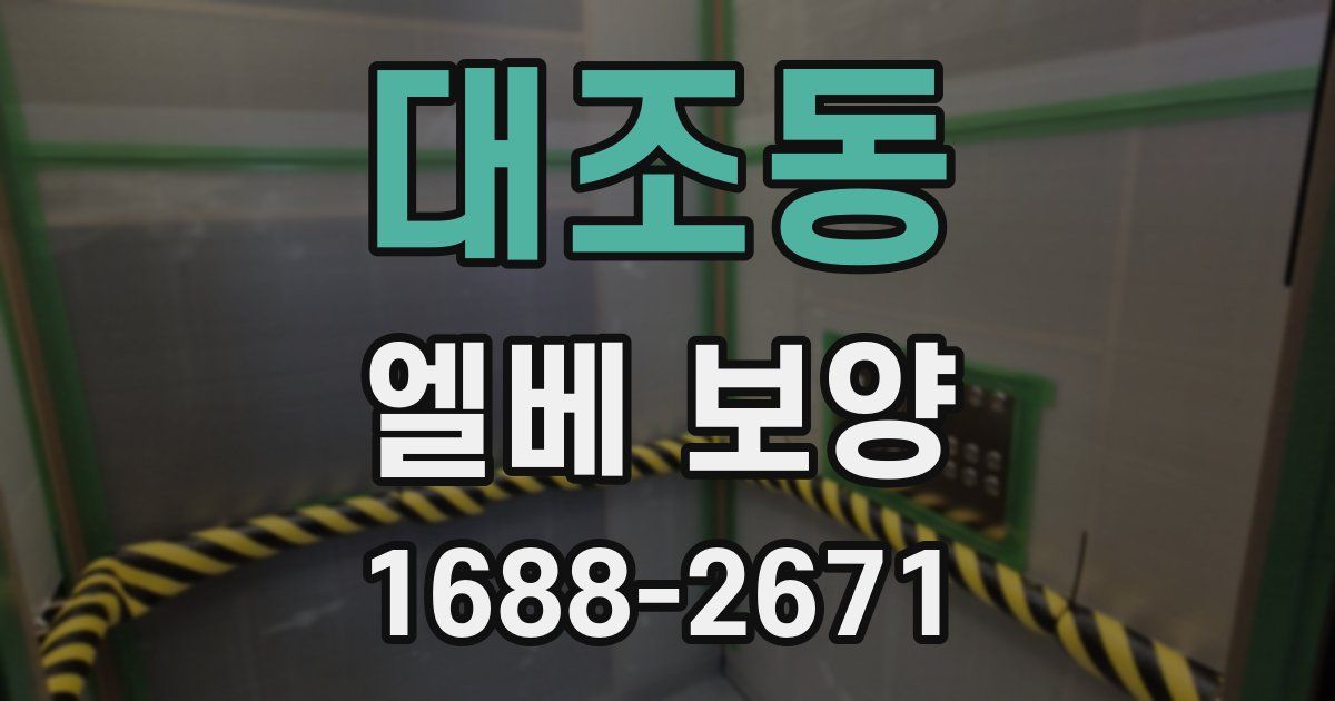 대조동 엘베 보양