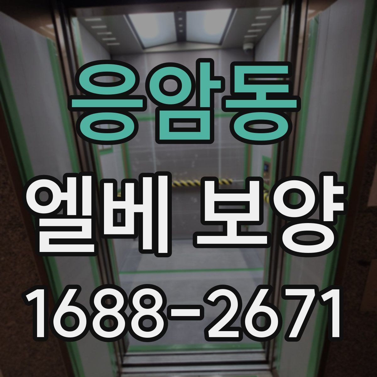 응암동 엘베 보양
