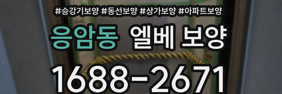 응암동 엘베 보양