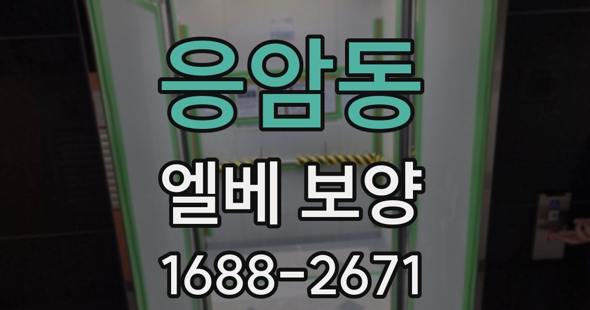응암동 엘베 보양