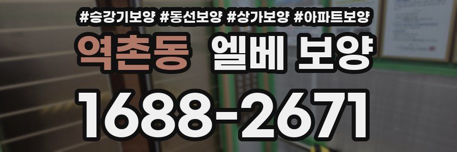 역촌동 엘베 보양