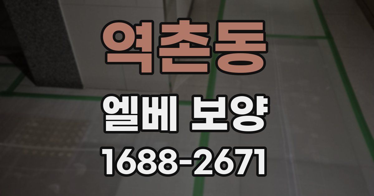 역촌동 엘베 보양