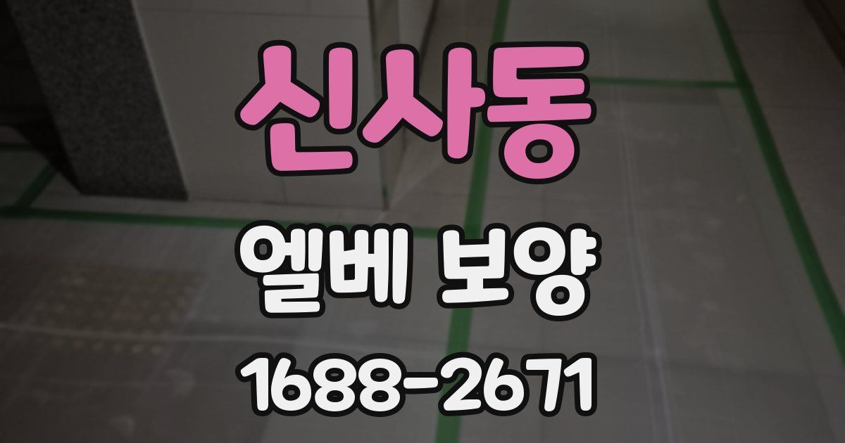 신사동 엘베 보양