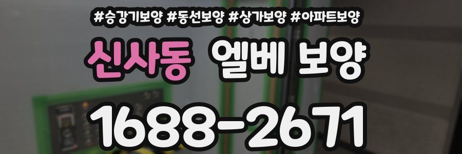 신사동 엘베 보양