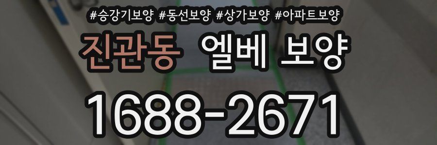 진관동 엘베 보양