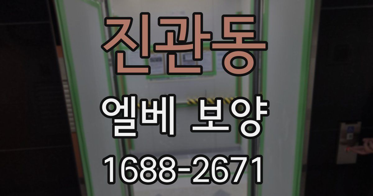 진관동 엘베 보양